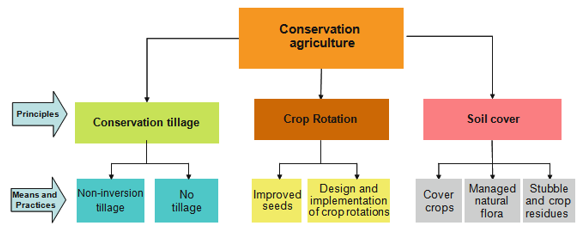 These 3 conservation agricultural concepts, as well as the primary practices and tools required