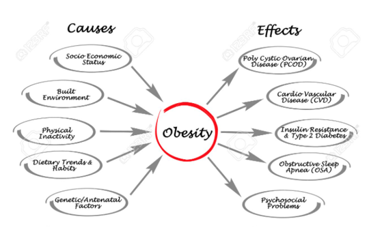 Reason and Effects of Obesity